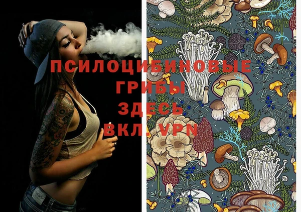 apvp Абинск